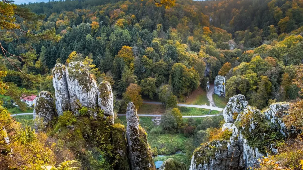 Jesienne barwy w Ojcowskim Parku Narodowym. Wapienne skały porośnięte mchem i jesienną roślinnością, otoczone lasem w odcieniach złota i zieleni.