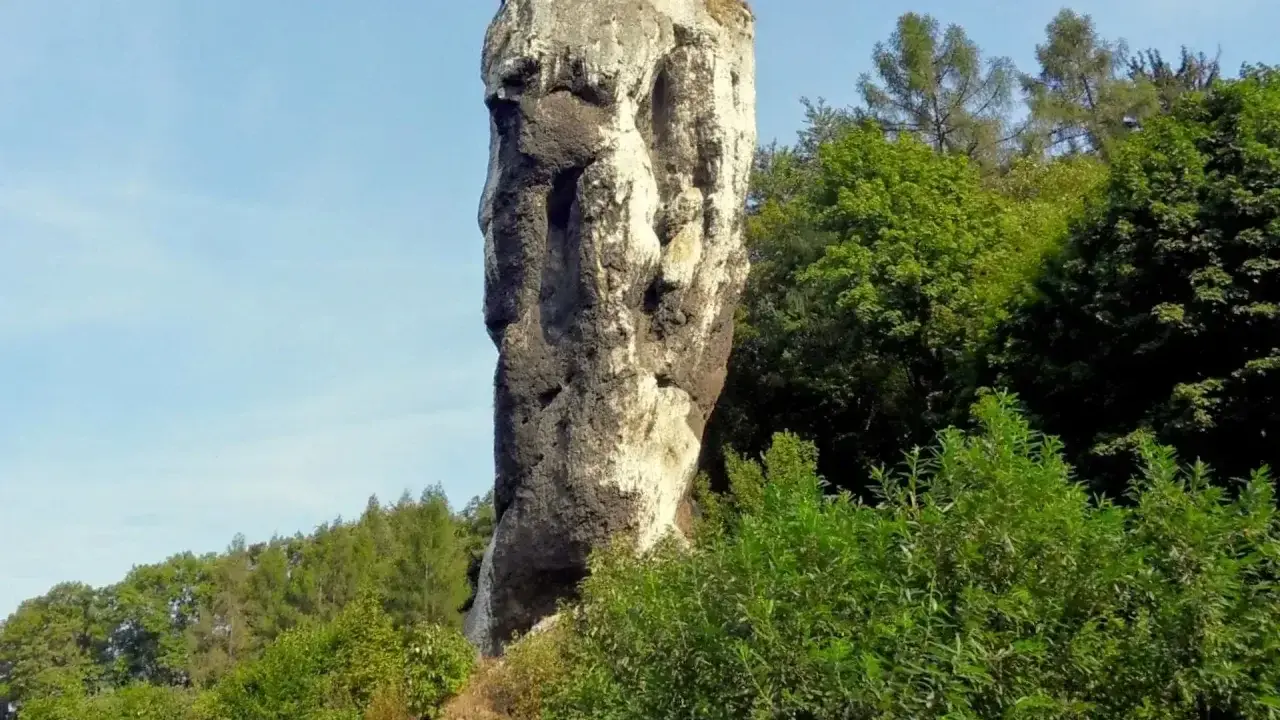 Skalny słup przypominający twarz,Herkulesa atrakcja Ojcowski Park Narodowy, otoczony zielenią.
