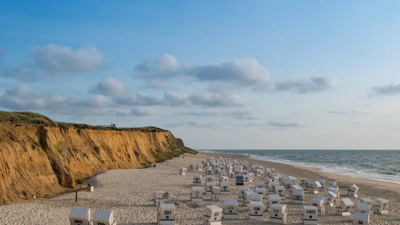 Plaża na wyspie Sylt z rzędem białych koszy plażowych i klifem w tle.