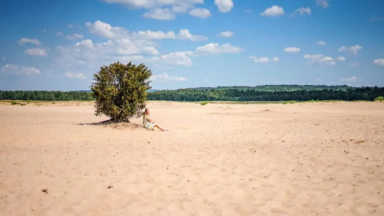 Kobieta odpoczywa w cieniu drzewa na Pustyni Błędowskiej. Trasa spacerowa wiodąca przez piaski i lasy.