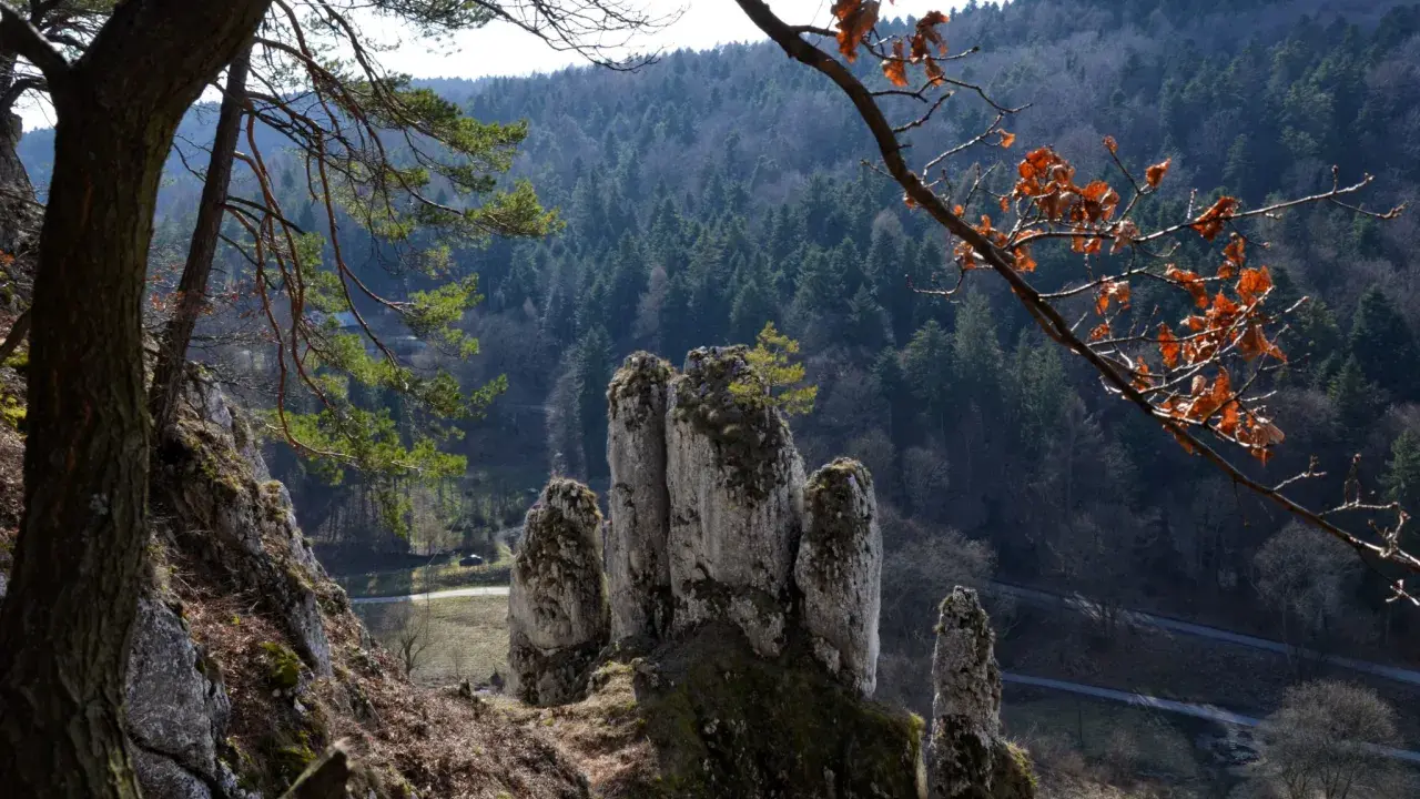 Skaliste formacje skalne w Ojcowski Park Narodowy, porośnięte mchem, na tle gęstego lasu i nieba.
