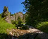 Słoneczny dzień w **Wąwozie Homole**. Kamienista ścieżka wije się wzdłuż strumienia, otoczona bujną zielenią i skalistymi zboczami.