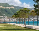 Wlora, Albania. Widok na wybrzeże z drzewami piniowymi, turkusowym morzem i zielonymi wzgórzami w tle.