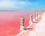 Różowe jezioro w Alicante, z drewnianymi słupkami porośniętymi solą, tworzy surrealistyczny krajobraz.