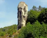 Skalny słup przypominający twarz,Herkulesa atrakcja Ojcowski Park Narodowy, otoczony zielenią.