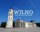 Co zobaczyć w Wilnie? Katedra i dzwonnica na placu, idealne na wycieczkę.