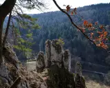 Skaliste formacje skalne w Ojcowski Park Narodowy, porośnięte mchem, na tle gęstego lasu i nieba.
