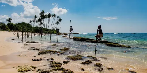 Rybacy na palach łowią ryby na wybrzeżu Sri Lanki.