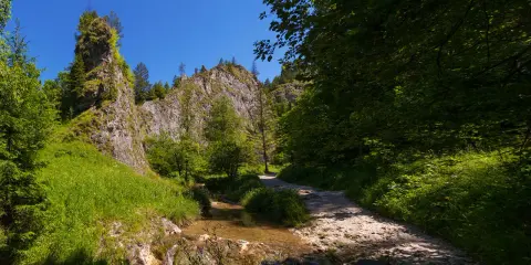 Słoneczny dzień w **Wąwozie Homole**. Kamienista ścieżka wije się wzdłuż strumienia, otoczona bujną zielenią i skalistymi zboczami.