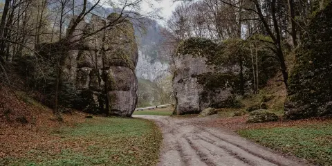 Droga przez skalne wrota, niczym brama krakowska w Ojcowie, zaprasza w głąb lasu.