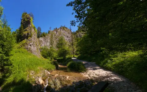 Słoneczny dzień w **Wąwozie Homole**. Kamienista ścieżka wije się wzdłuż strumienia, otoczona bujną zielenią i skalistymi zboczami.
