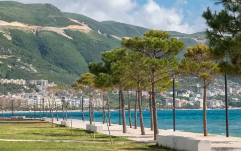Wlora, Albania. Widok na wybrzeże z drzewami piniowymi, turkusowym morzem i zielonymi wzgórzami w tle.