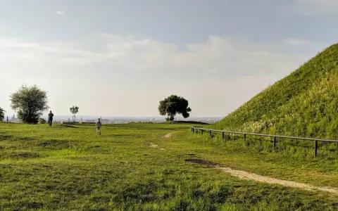 Idealne miejsce, gdzie na spacer w Krakowie. Zielone wzgórza, samotne drzewo i panorama miasta w oddali.