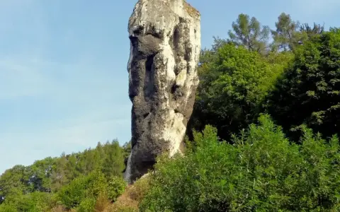 Skalny słup przypominający twarz,Herkulesa atrakcja Ojcowski Park Narodowy, otoczony zielenią.