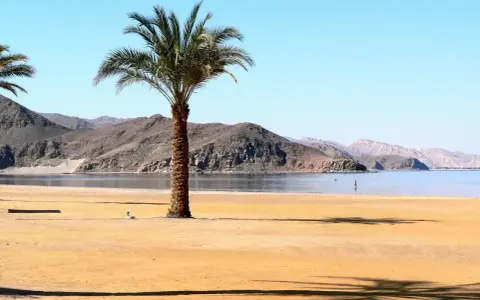 Plaża nad Morzem Czerwonym z palmą i górami w tle. Słońce rzuca cień na piasek.