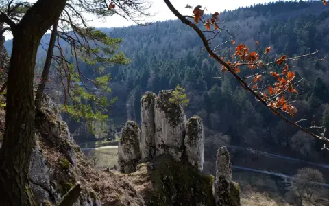 Skaliste formacje skalne w Ojcowski Park Narodowy, porośnięte mchem, na tle gęstego lasu i nieba.