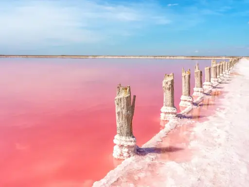 Różowe jezioro w Alicante, z drewnianymi słupkami porośniętymi solą, tworzy surrealistyczny krajobraz.