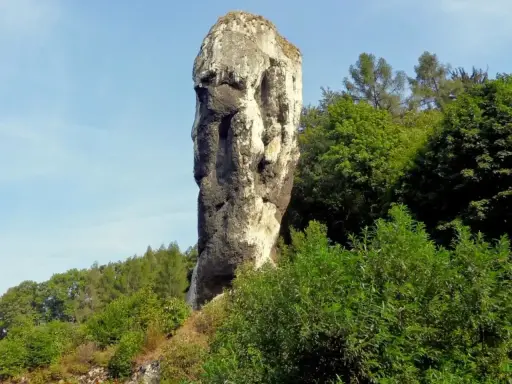Skalny słup przypominający twarz,Herkulesa atrakcja Ojcowski Park Narodowy, otoczony zielenią.