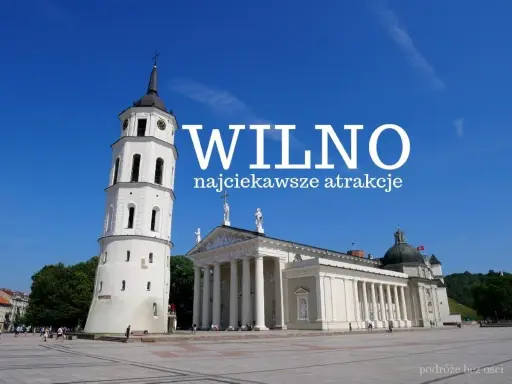 Co zobaczyć w Wilnie? Katedra i dzwonnica na placu, idealne na wycieczkę.
