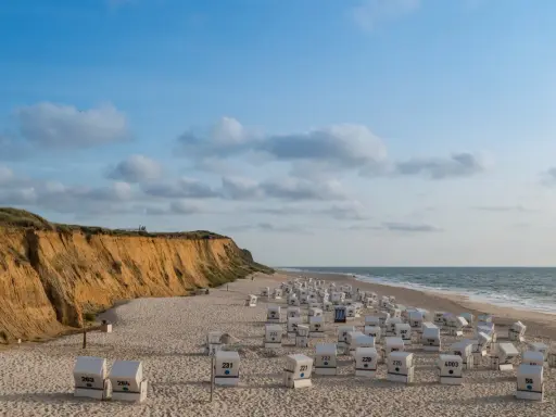 Plaża na wyspie Sylt z rzędem białych koszy plażowych i klifem w tle.