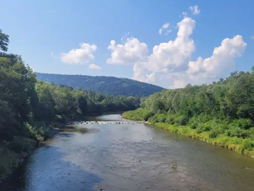 Malowniczy widok na rzekę i zalesione wzgórza, idealne miejsce na **jezioro dobczyckie spacer**.