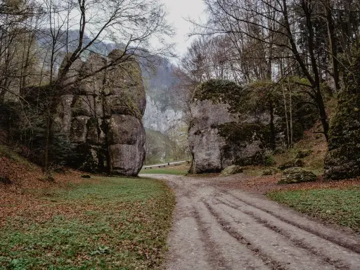 Droga przez skalne wrota, niczym brama krakowska w Ojcowie, zaprasza w głąb lasu.