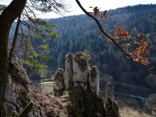Skaliste formacje skalne w Ojcowski Park Narodowy, porośnięte mchem, na tle gęstego lasu i nieba.