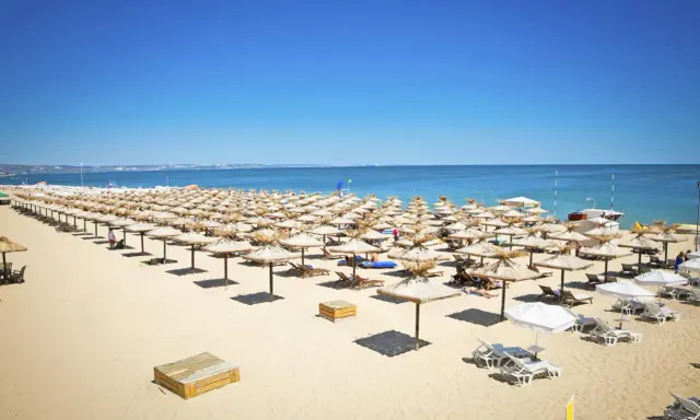 Słoneczny brzeg Bułgaria: Rzędy słomianych parasoli i leżaków na piaszczystej plaży, z błękitnym morzem w tle.