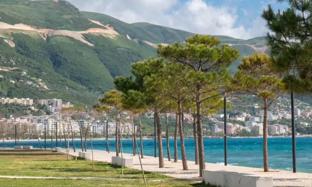 Wlora, Albania. Widok na wybrzeże z drzewami piniowymi, turkusowym morzem i zielonymi wzgórzami w tle.