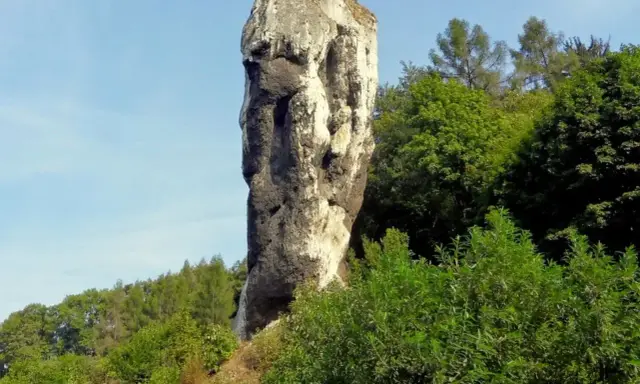 Skalny słup przypominający twarz,Herkulesa atrakcja Ojcowski Park Narodowy, otoczony zielenią.