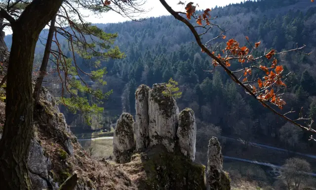 Skaliste formacje skalne w Ojcowski Park Narodowy, porośnięte mchem, na tle gęstego lasu i nieba.