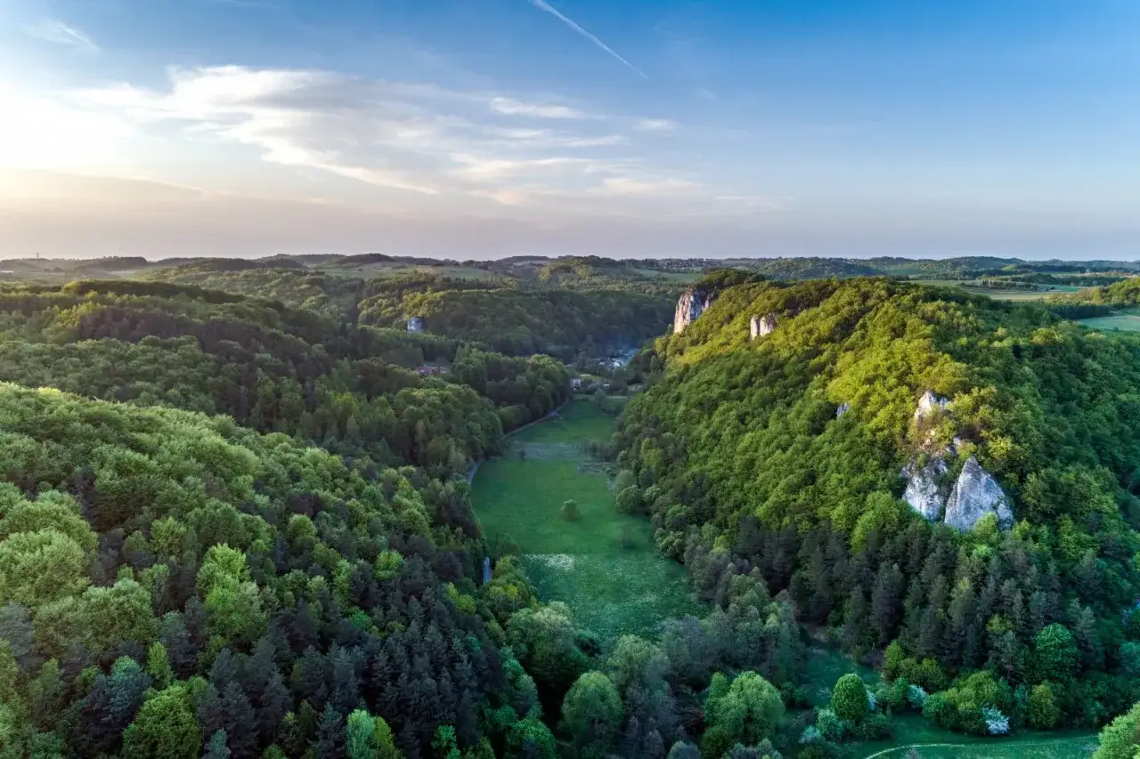 Malownicza Dolina Będkowska z lotu ptaka. Zielone lasy, wapienne skały i polana. Jak dojechać?