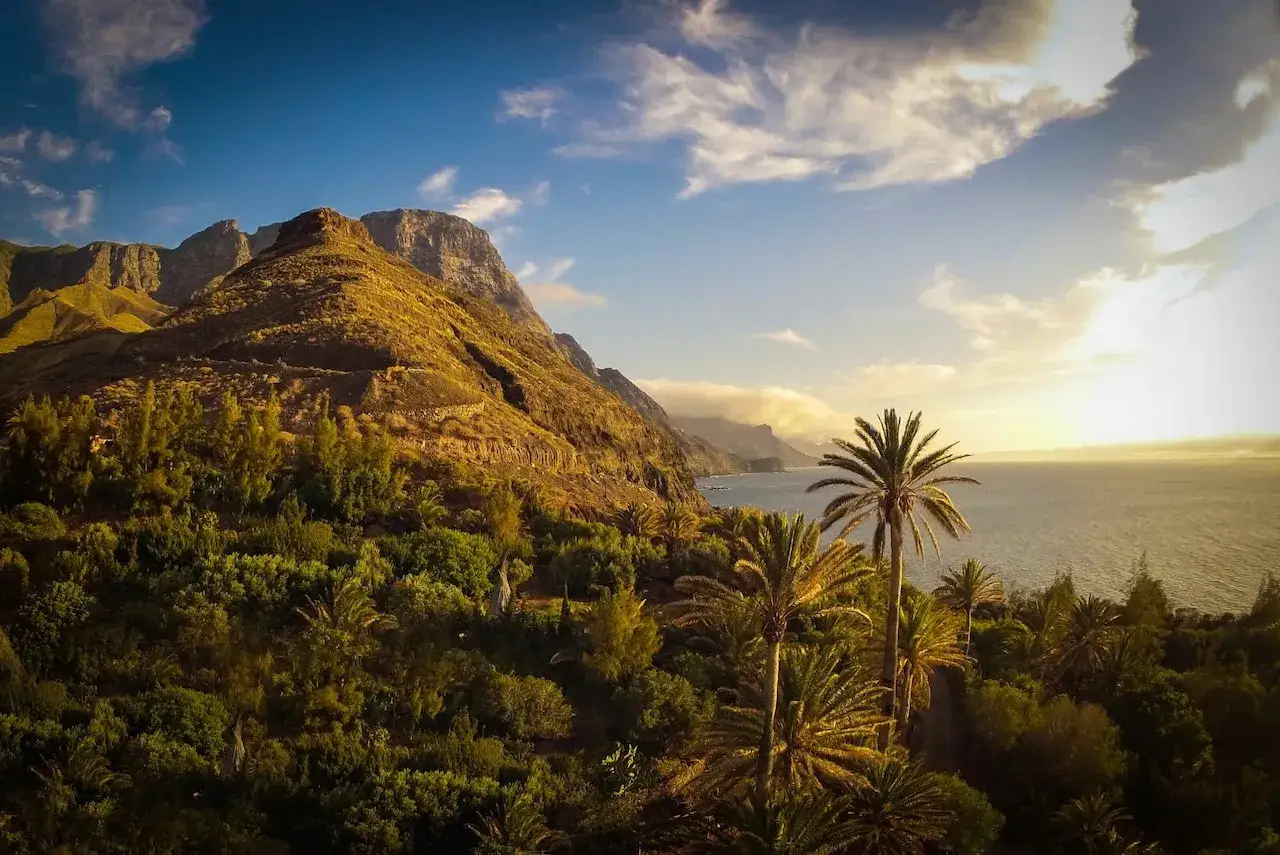 Zachód słońca nad Gran Canaria. Góry, palmy i ocean tworzą malowniczy krajobraz.