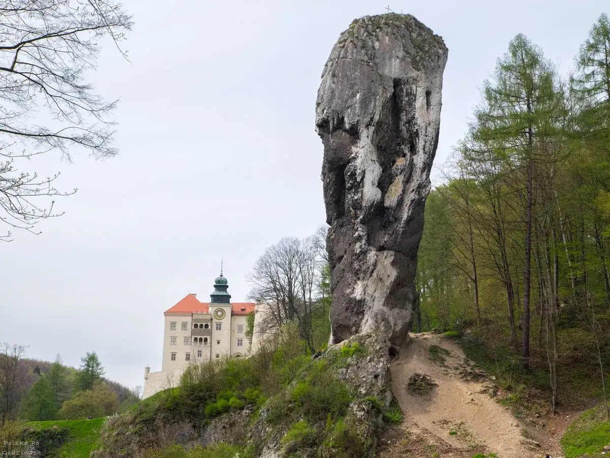 Park Orlich Gniazd atrakcje: potężna skała i zamek na wzgórzu. Malowniczy krajobraz Jury.