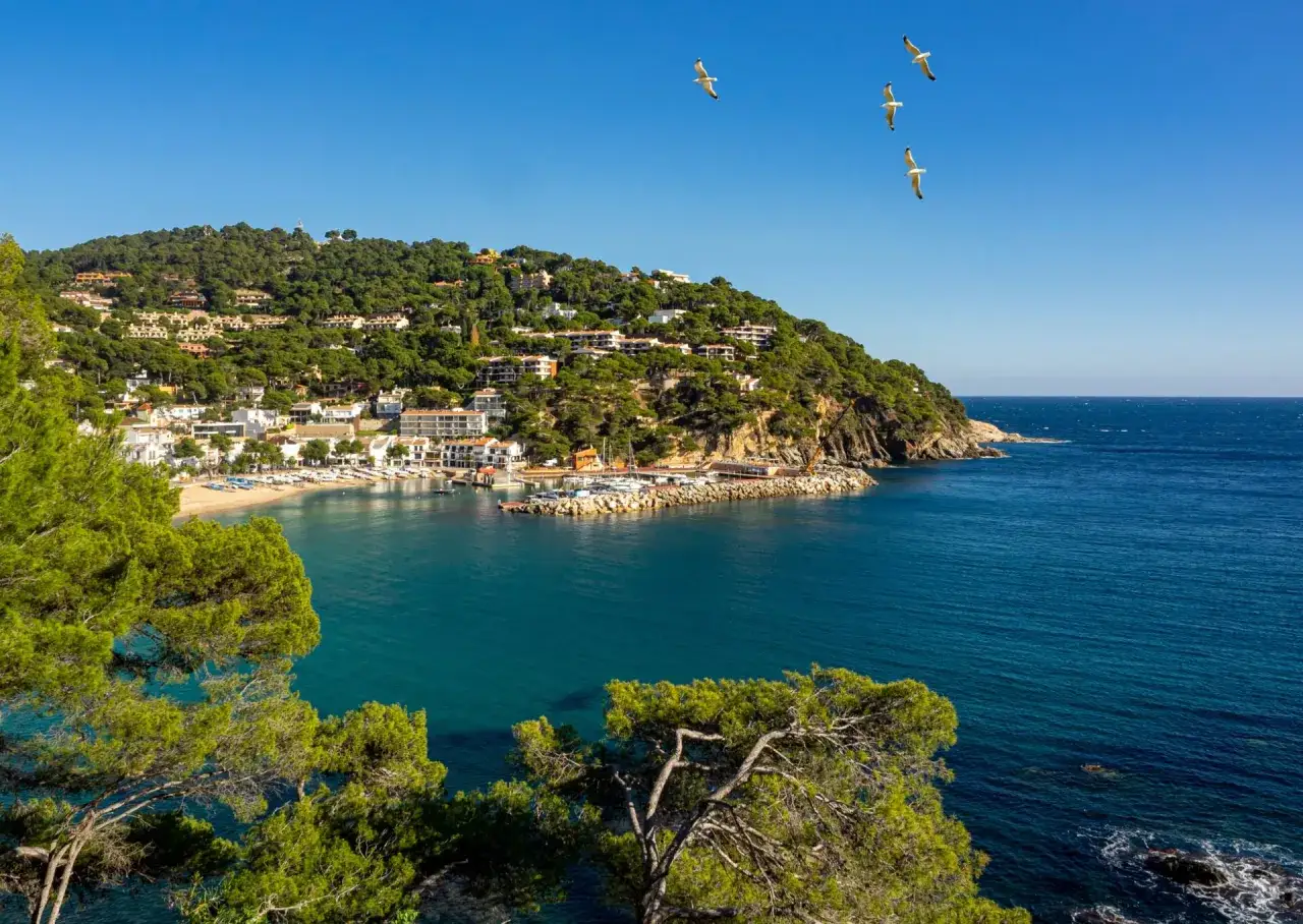 Widok na zatokę z białymi domkami na wzgórzu, plażą i mariną. Mewy szybujące nad turkusowym morzem. Idealne costa brava atrakcje.